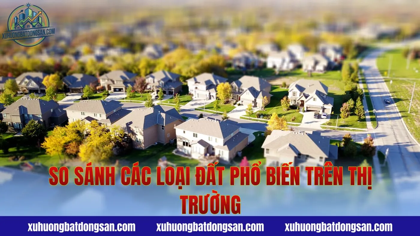 So sánh các loại đất phổ biến trên thị trường