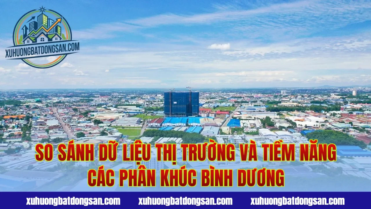 So sánh dữ liệu thị trường và tiềm năng các phân khúc Bình Dương